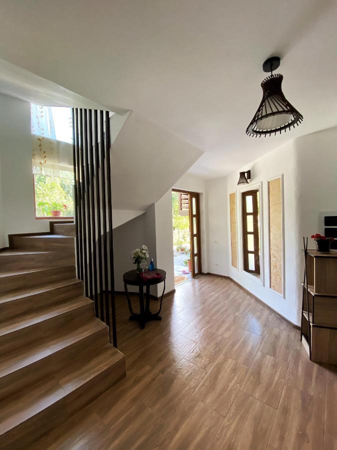 Vila Sorina Borsa  Bagian luar foto