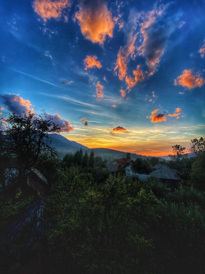 Vila Sorina Borsa  Bagian luar foto