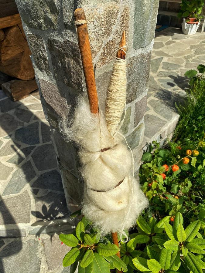 Vila Sorina Borsa  Bagian luar foto