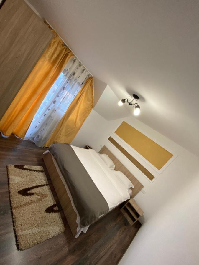 Vila Sorina Borsa  Bagian luar foto