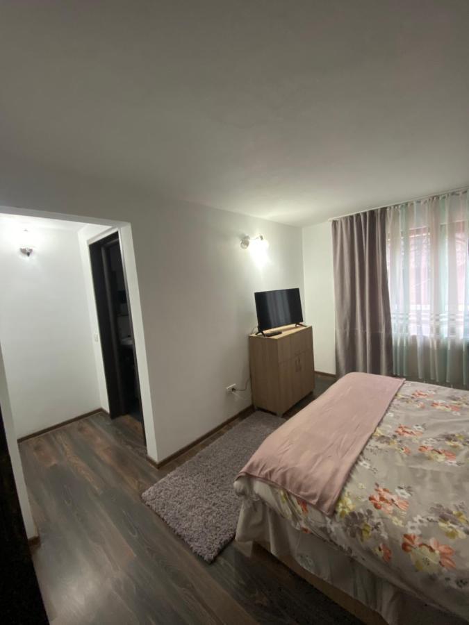 Vila Sorina Borsa  Bagian luar foto